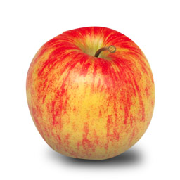 jonagold apple