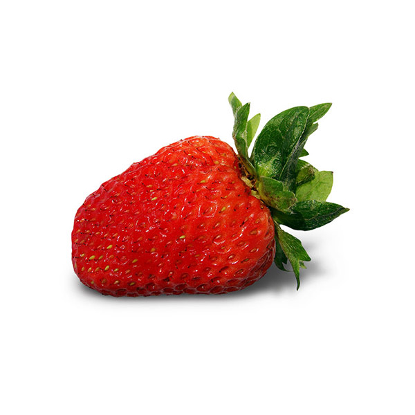 honeoye strawberry