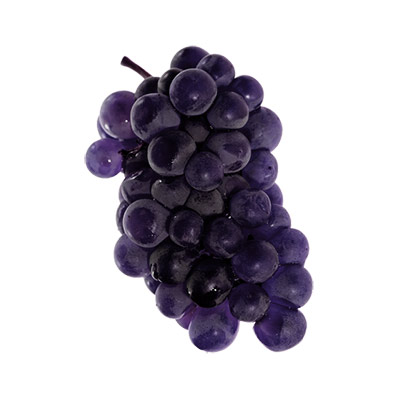 bunch of chambourcin grapes