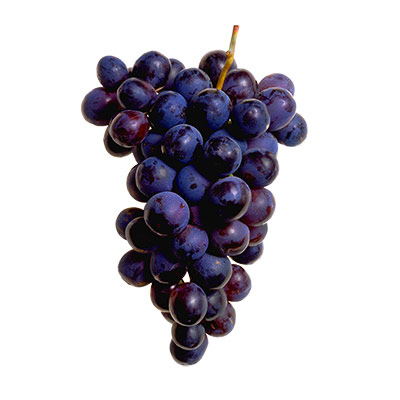 DeChaunac grapes