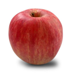 https://www.kimmelorchard.org/sites/default/files/fruit/kimmel-apple-fuji.jpg