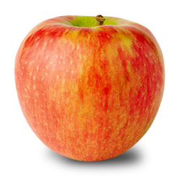 honey crisp apple