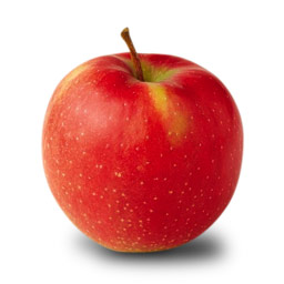 jonathan apple