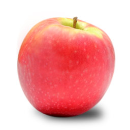 pink lady apple