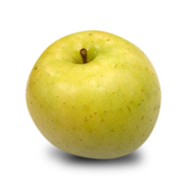 shizuka apple