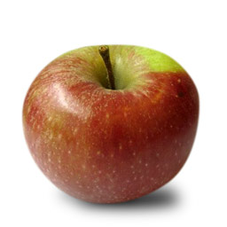 winesap apple