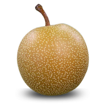 olympic pear