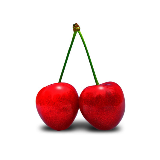 montmorency cherries