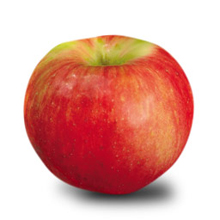 zestar apple