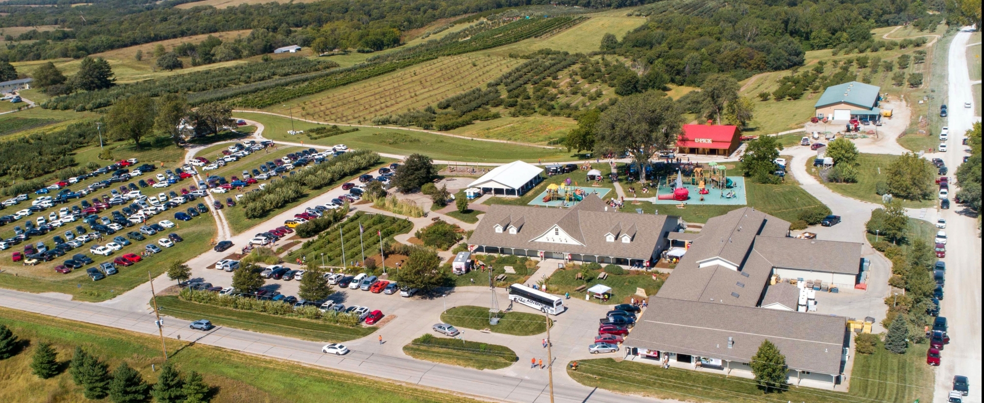 drone image of orchard