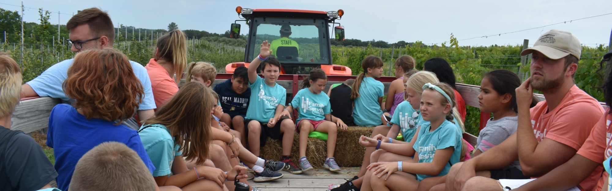 hay rack