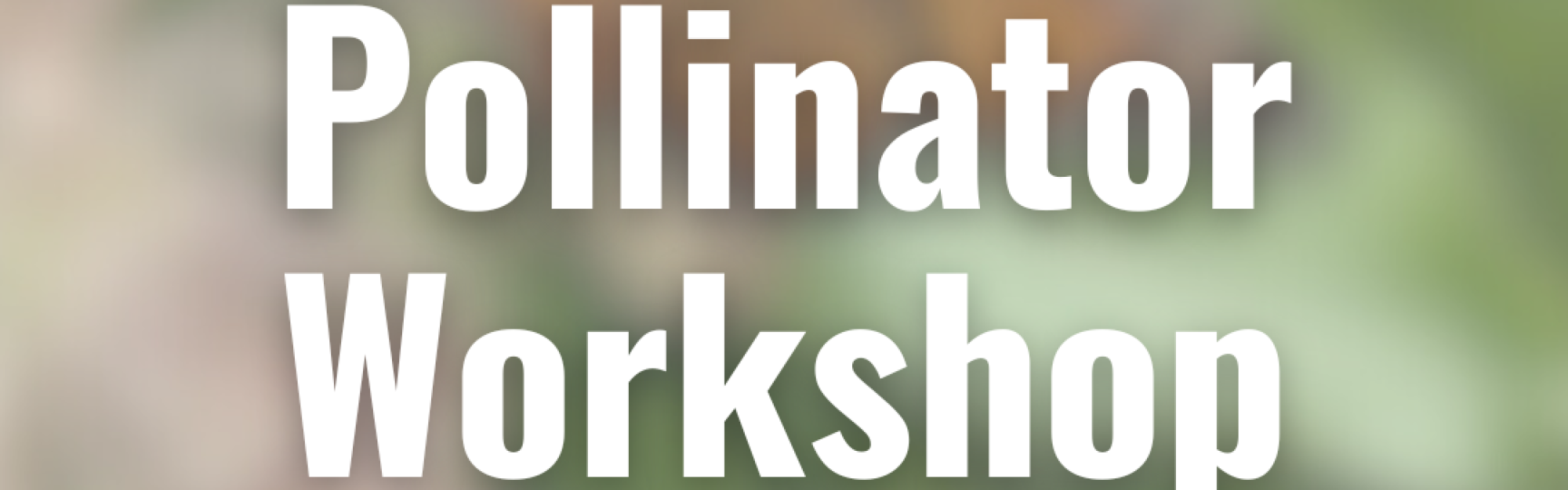 Workshop