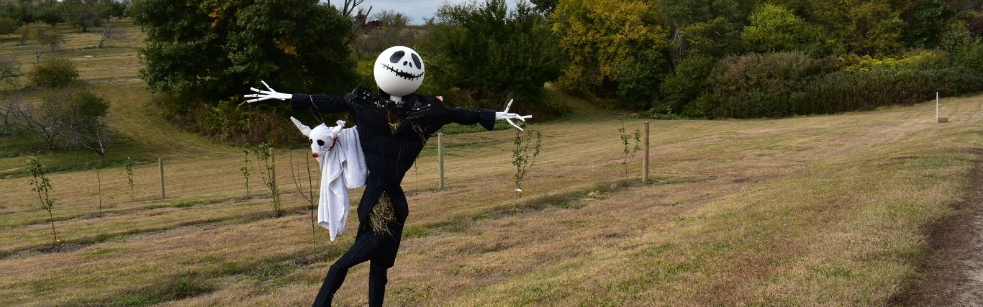 Scarecrow Jack