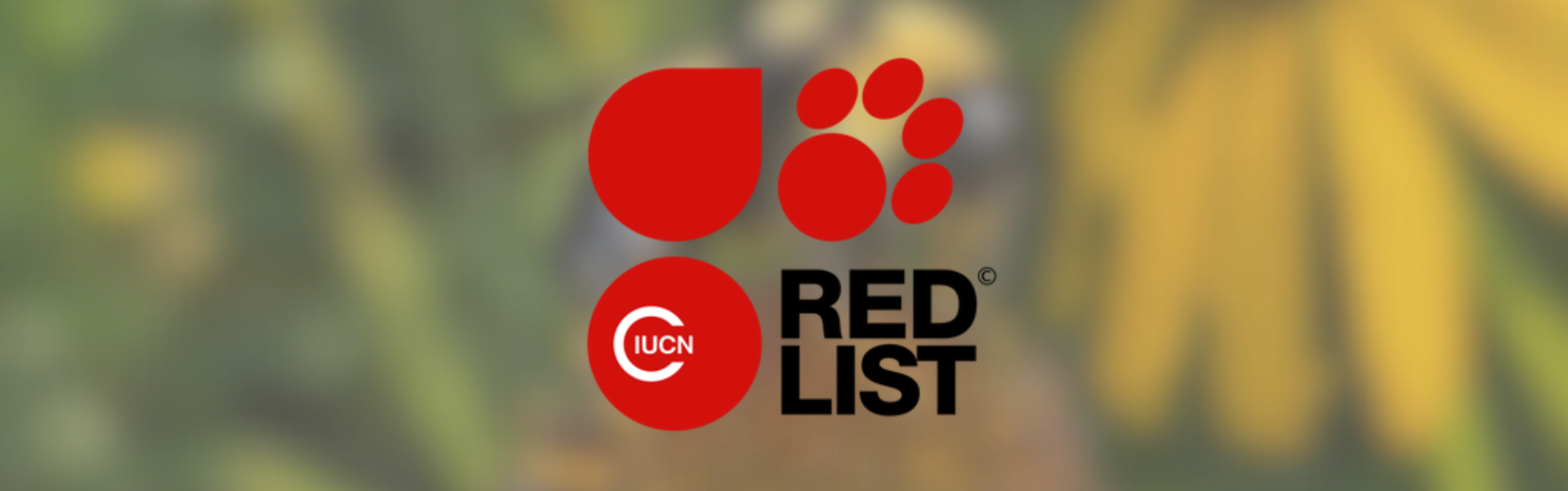 IUCN Red List Logo