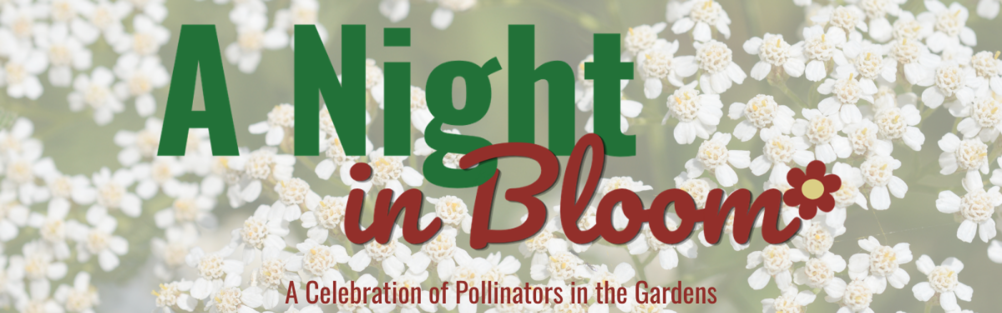 A Night in Bloom
