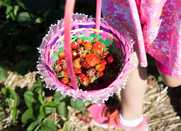 strawberries