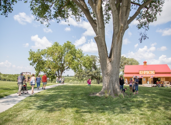 kimmel apple orchard u-pick barn and visitors