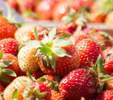 box of strawberries