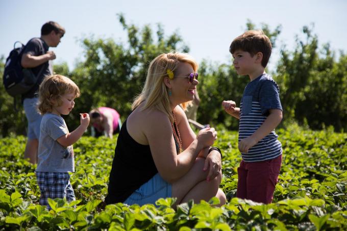 mother and children in strawberry patch