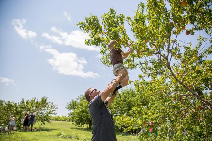 father lifting son near tree branch
