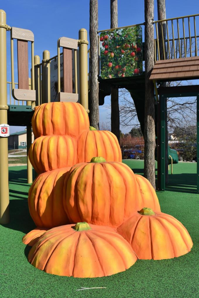 playground pumpkin steps