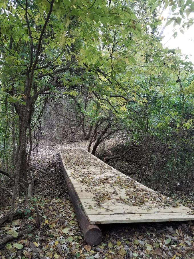 nature trail bridge