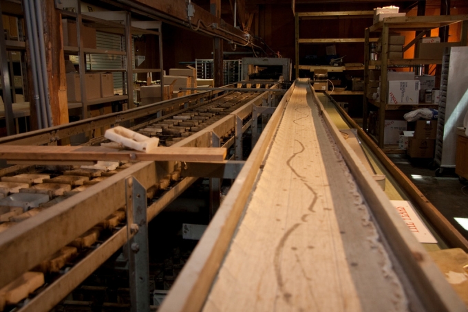 apple sorter equipment