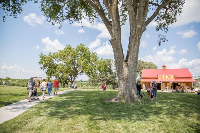 people walking towards u-pick barn and tree