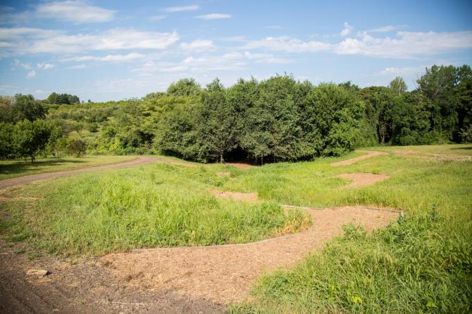 nature trail path