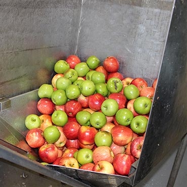 cider processing