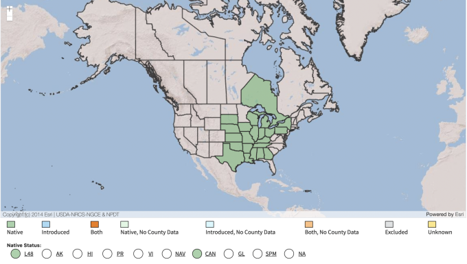 USDA Native Range Map