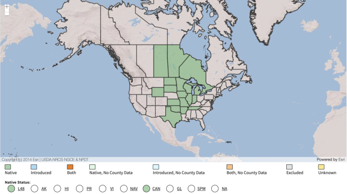 USDA Native Range Map
