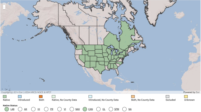 USDA Native Range Map