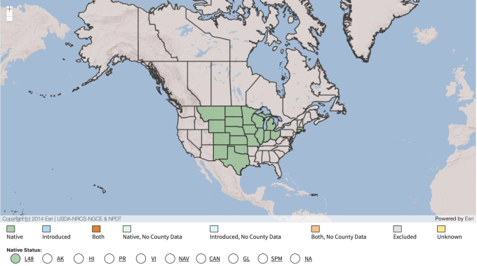 USDA Native Range Map