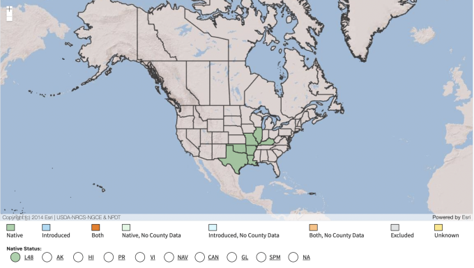 USDA Native Range Map