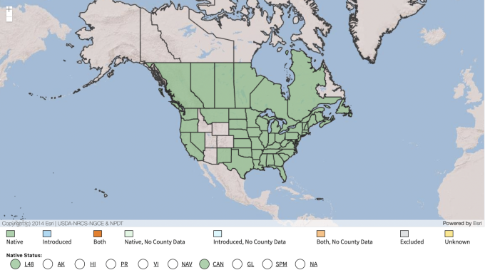 USDA Native Range Map