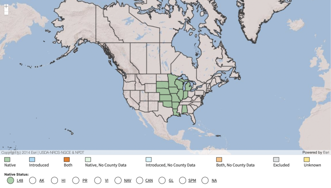 USDA Native Range Map