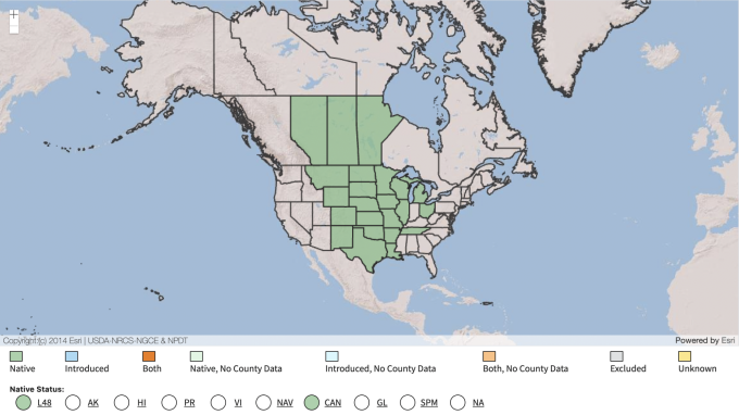 USDA Native Range Map