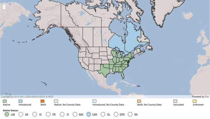 USDA Native Range Map