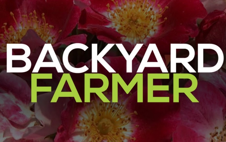 Backyard Farmer