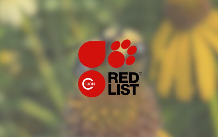 IUCN Red List Logo