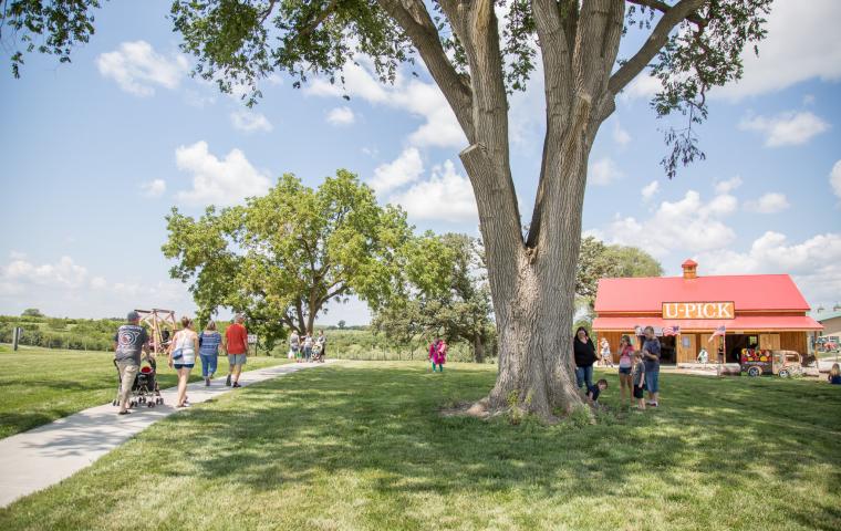 kimmel apple orchard u-pick barn and visitors