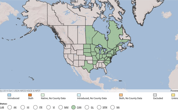 USDA Native Range Map