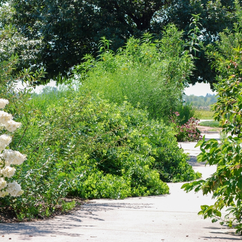 Gardens