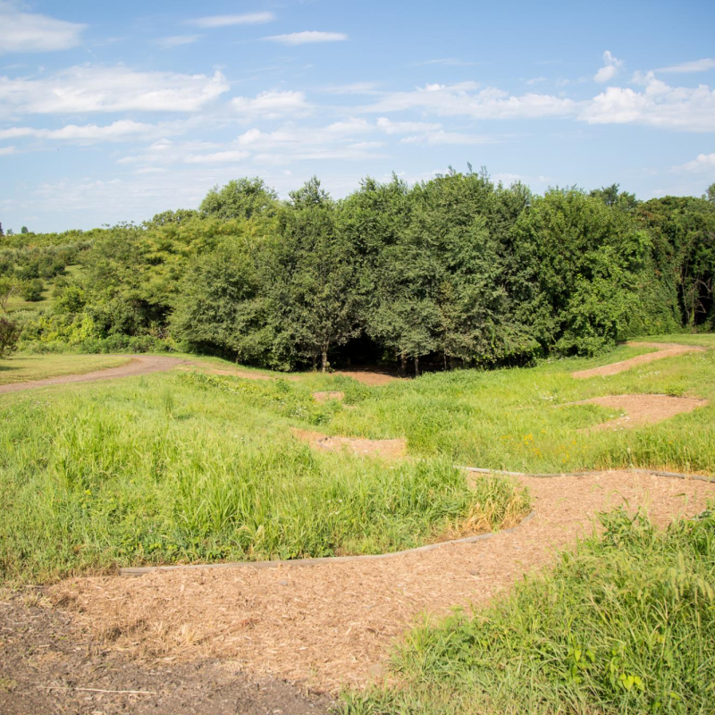 nature trail road