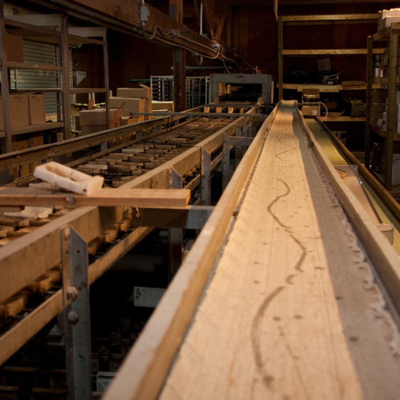 apple sorter equipment