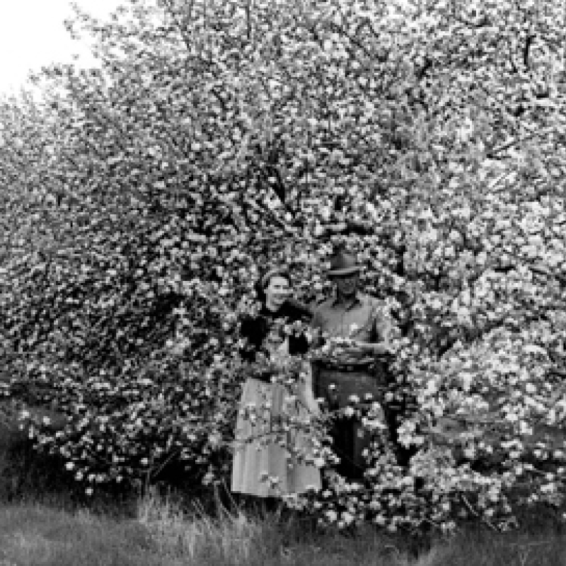 couple standing near blossoming tree