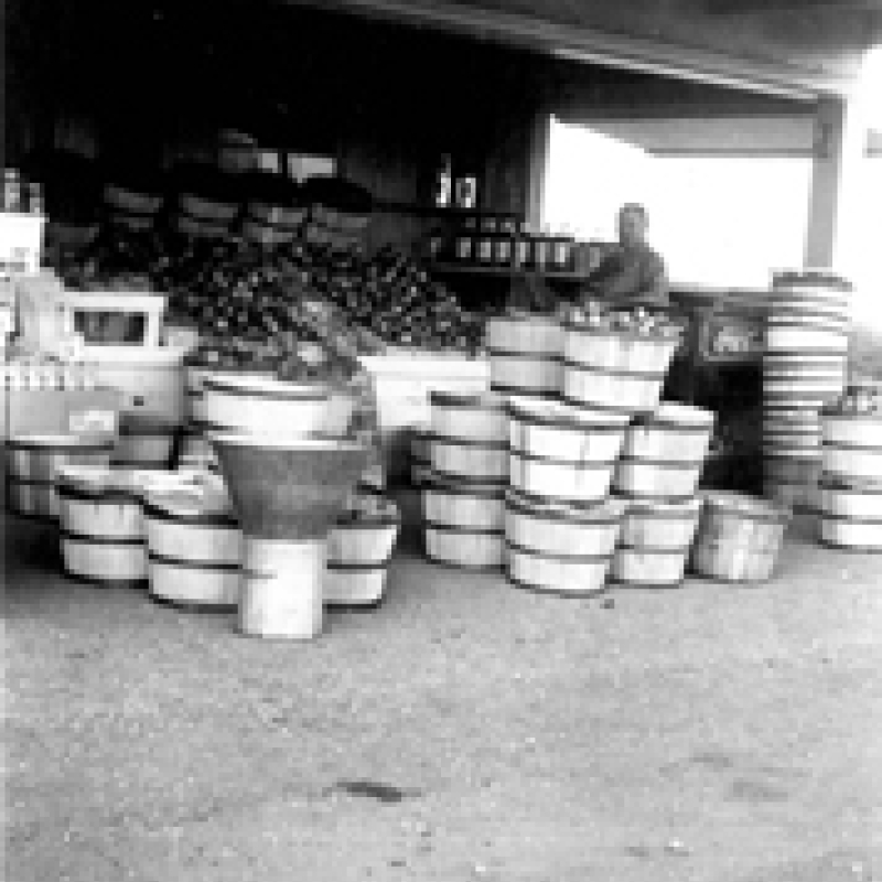 apple bushels