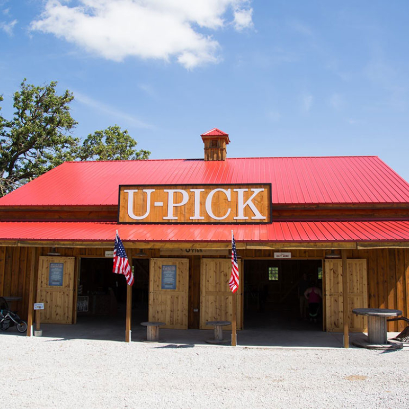 U-pick Barn