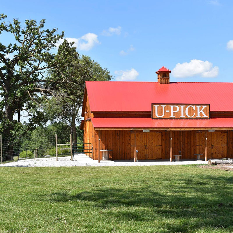 U-pick Barn